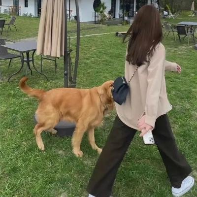 猫和老鼠：魔法戒指